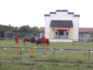 上海东方地质科普馆