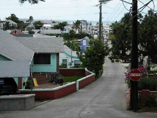 但尼丁公立艺术画廊