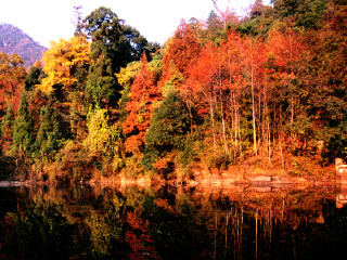 杭州临安天目山冰川大峡谷