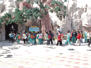 上海东方地质科普馆