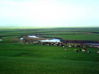 锡林郭勒大草原