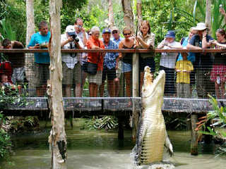 哈特利鳄鱼探险公园
