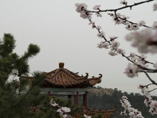 青岛小珠山国家森林公园