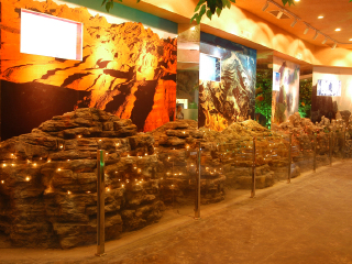 上海东方地质科普馆