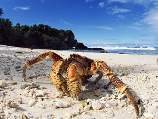 塔斯马尼亚海马世界和南洋水族馆