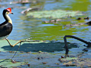 玛丽河国家公园
