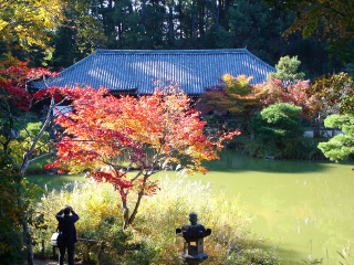 净瑠璃寺