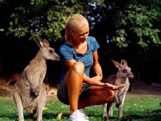 凯恩斯热带动物园