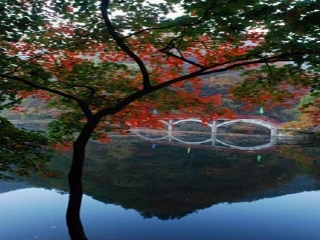 本溪绿色生态园