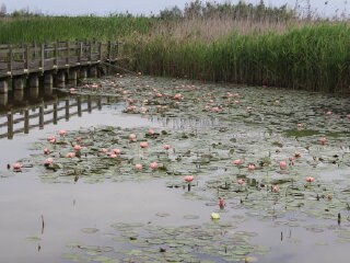 杭州湾湿地公园