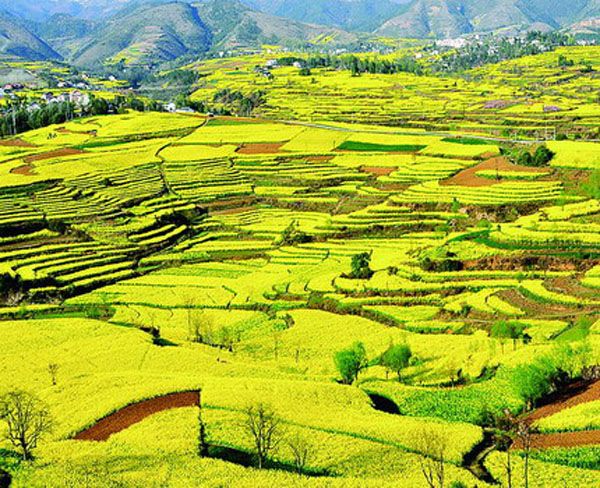 華陽景區門票價格-華陽景區門票預訂-華陽景區門票多少錢