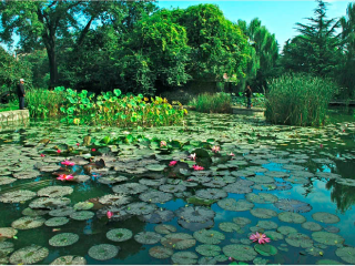 草滩生态产业园
