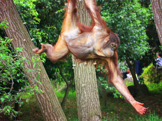 杭州野生动物世界