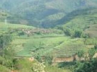 景谷傣族彝族自治县