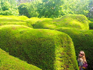 雅思迷宫及薰衣草花园