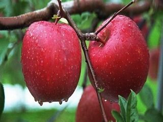 花果山神秘谷风景区