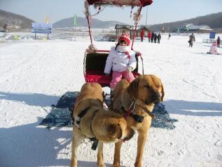 秦皇古道滑雪场