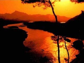 丰溪森林度假区