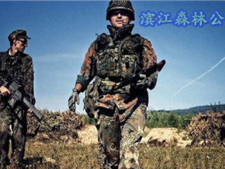 浦东高桥滨江森林公园