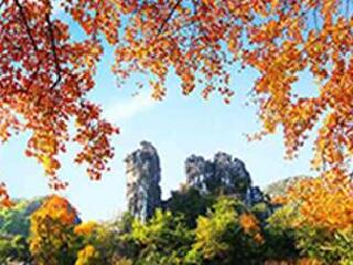 良凤江国家森林公园