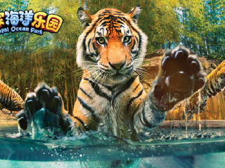 皇家海洋乐园