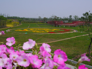 杭州湾海上花田景区