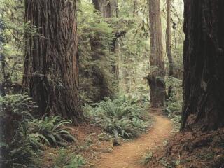 勒苏尔国家公园