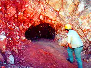 新不伦瑞克矿石中心