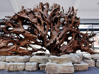 湖州古木艺术馆