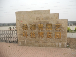 天津芝心园草莓采摘园