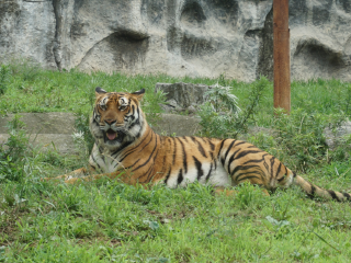 杭州野生动物世界