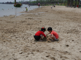 杭州湾海上花田景区