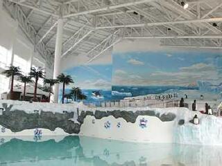 江陵固拉美温泉