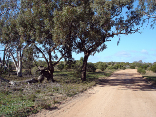 哈塔卡尔凯恩国家公园