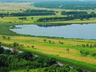 三江平原湿地