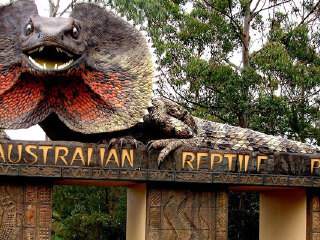 澳大利亚悉尼爬行动物公园