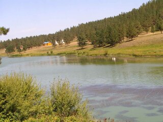 红花尔基樟子松国家森林公园