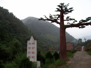 周至保护区