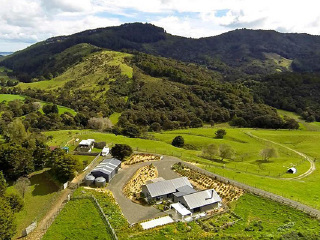 奥克兰绵羊世界