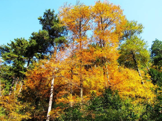 安吉董岭天堂山庄