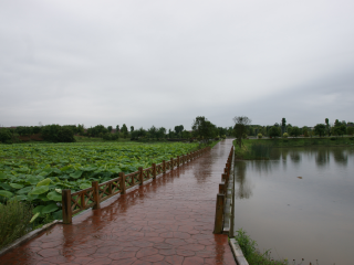 重庆花样龙水湖