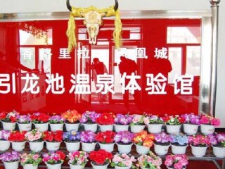 凤凰城引龙池温泉体验馆