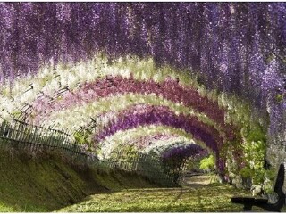 许昌花都温泉小镇