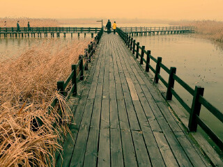 杭州湾湿地公园