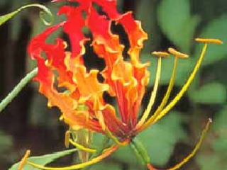 北马塔贝莱兰省