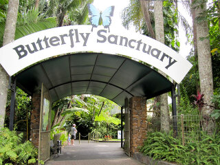 凯恩斯蝴蝶生态馆