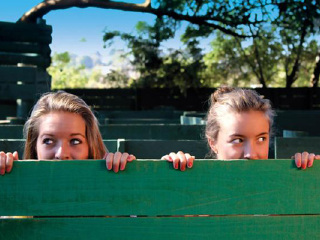 菲利普岛“迷宫”乐园