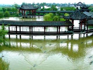 湖州长兴扬子鳄村