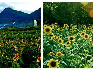 湖州安吉尚书休闲文化村