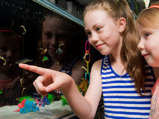 墨尔本海洋生物水族馆